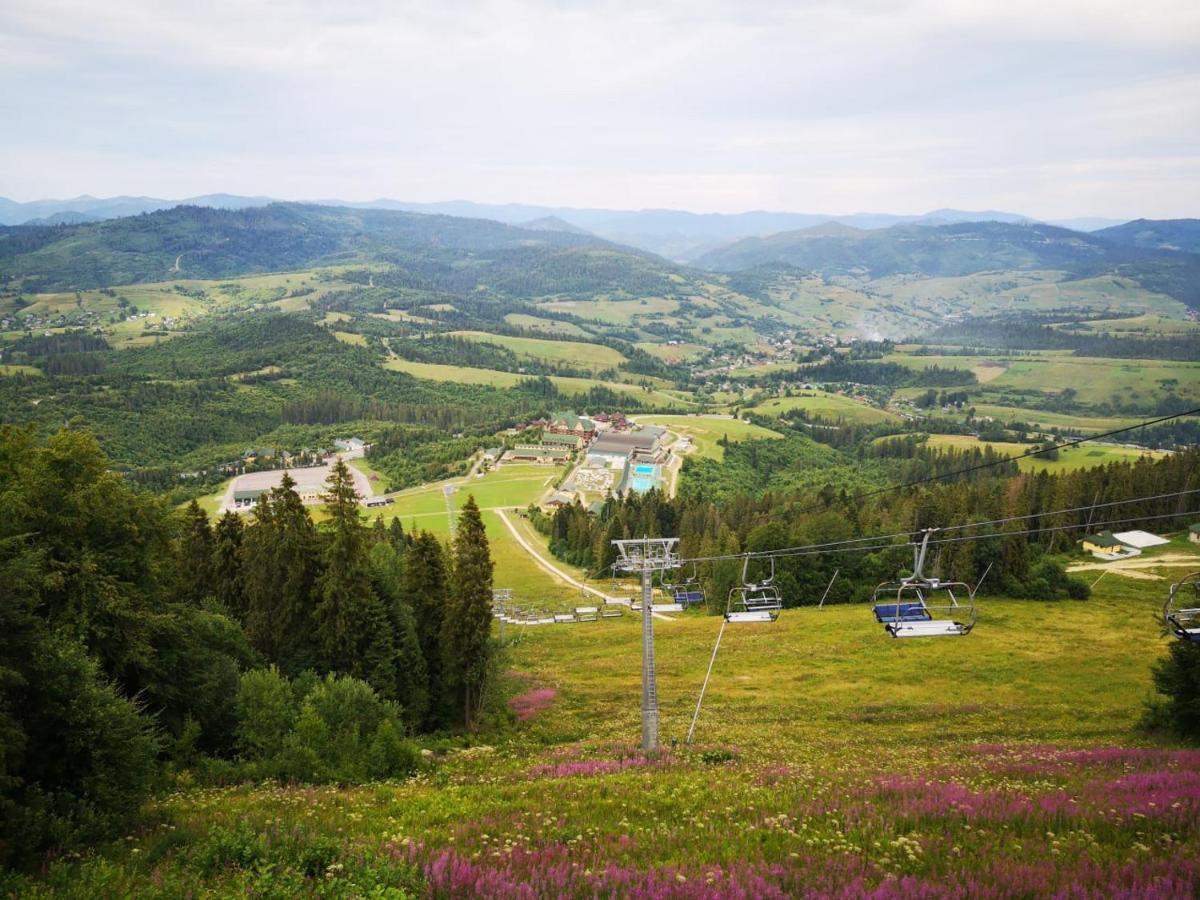 Карпатська Ружа Plave Exterior foto